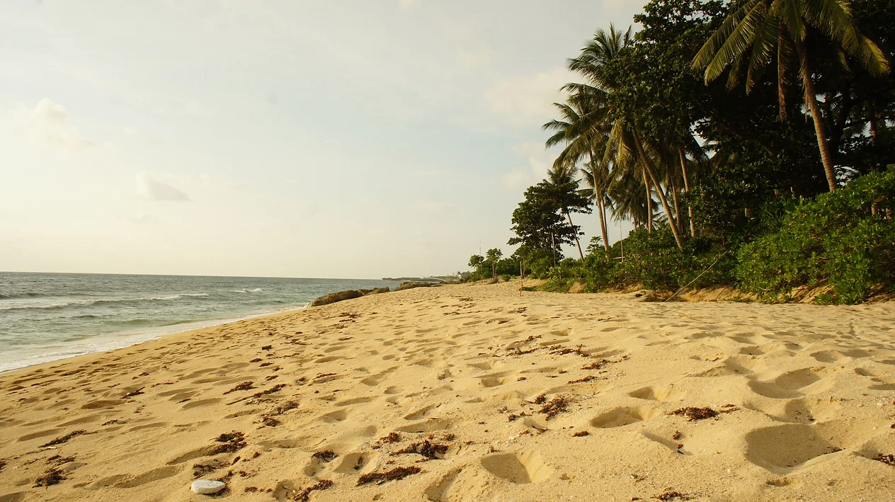 Bolinao Forest Trails